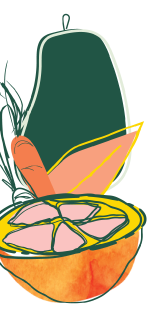 Vegetable Illustration